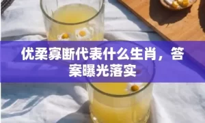 优柔寡断代表什么生肖，答案曝光落实