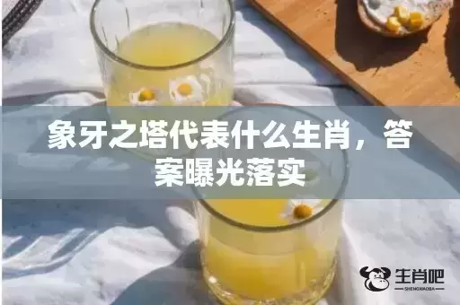 象牙之塔代表什么生肖，答案曝光落实