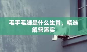 毛手毛脚是什么生肖，精选解答落实