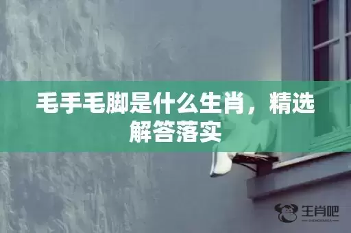 毛手毛脚是什么生肖,精选解答落实 毛手毛脚是什么生肖,精选解答落实