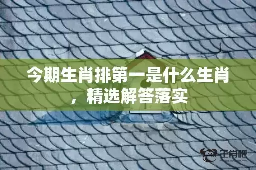 今期生肖排第一是什么生肖，精选解答落实