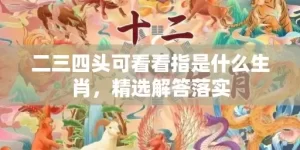 二三四头可看看指是什么生肖，精选解答落实