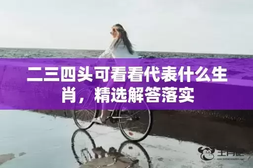 二三四头可看看代表什么生肖，精选解答落实