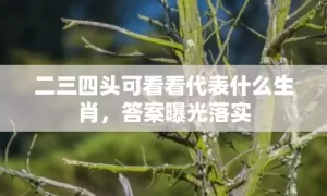 二三四头可看看代表什么生肖，答案曝光落实