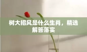 树大招风是什么生肖，精选解答落实