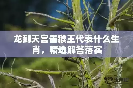 龙到天宫告猴王代表什么生肖,精选解答落实 龙到天宫告猴王代表什么生肖,精选解答落实