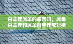 白羊座属羊的命苦吗，属兔白羊座和属羊射手座配对指数分析