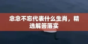 念念不忘代表什么生肖，精选解答落实