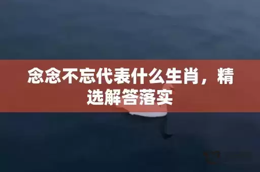 念念不忘代表什么生肖，精选解答落实