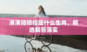 沸沸扬扬指是什么生肖，精选解答落实