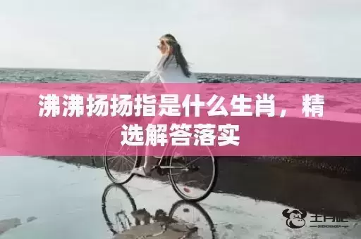 沸沸扬扬指是什么生肖，精选解答落实