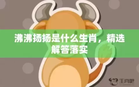 沸沸扬扬是什么生肖，精选解答落实