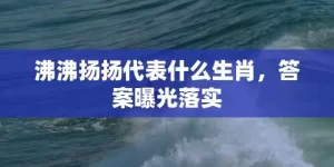 沸沸扬扬代表什么生肖，答案曝光落实