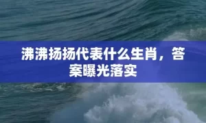 沸沸扬扬代表什么生肖，答案曝光落实