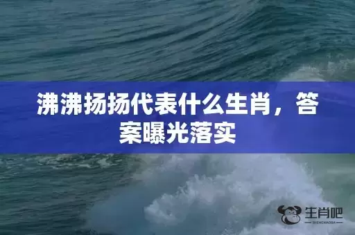 沸沸扬扬代表什么生肖，答案曝光落实