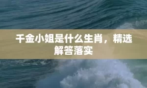 千金小姐是什么生肖，精选解答落实