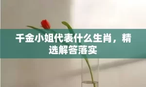 千金小姐代表什么生肖，精选解答落实