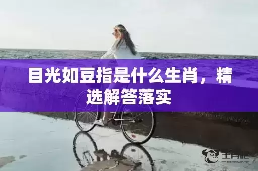 目光如豆指是什么生肖，精选解答落实