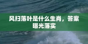 风扫落叶是什么生肖，答案曝光落实