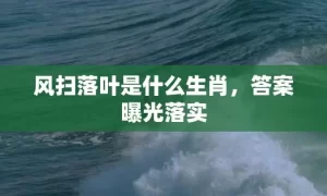 风扫落叶是什么生肖，答案曝光落实