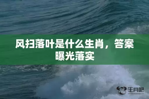 风扫落叶是什么生肖，答案曝光落实