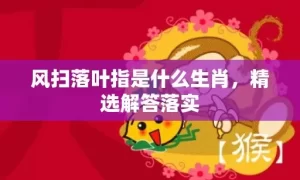 风扫落叶指是什么生肖，精选解答落实