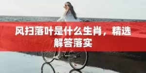 风扫落叶是什么生肖，精选解答落实