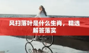 风扫落叶是什么生肖，精选解答落实