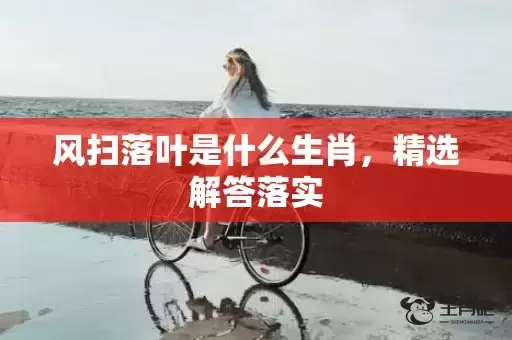 风扫落叶是什么生肖，精选解答落实