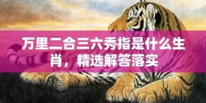 万里二合三六秀指是什么生肖，精选解答落实