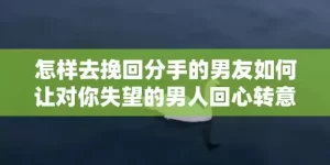 怎样去挽回分手的男友如何让对你失望的男人回心转意