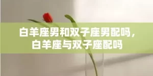 白羊座男和双子座男配吗，白羊座与双子座配吗