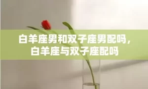 白羊座男和双子座男配吗，白羊座与双子座配吗