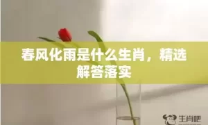 春风化雨是什么生肖，精选解答落实