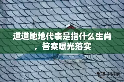 道道地地代表是指什么生肖，答案曝光落实