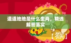 道道地地是什么生肖，精选解答落实