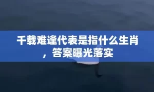 千载难逢代表是指什么生肖，答案曝光落实