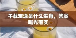 千载难逢是什么生肖，答案曝光落实