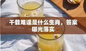 千载难逢是什么生肖，答案曝光落实