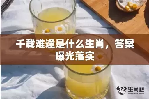 千载难逢是什么生肖，答案曝光落实