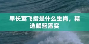 早长莺飞指是什么生肖，精选解答落实