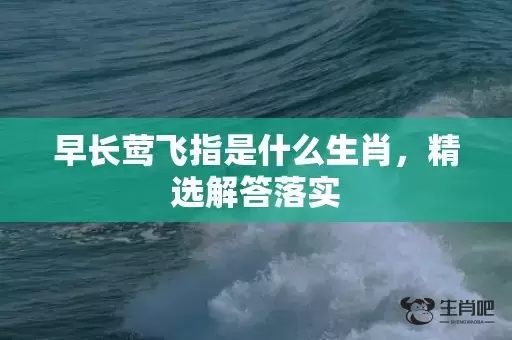 早长莺飞指是什么生肖,精选解答落实 早长莺飞指是什么生肖,精选解答落实