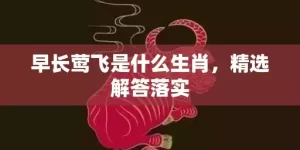 早长莺飞是什么生肖，精选解答落实