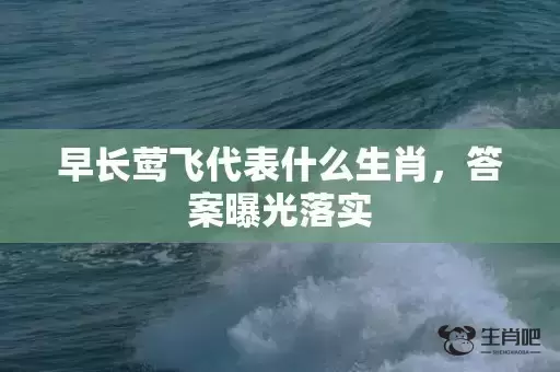 早长莺飞代表什么生肖，答案曝光落实