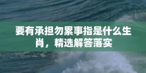 要有承担勿累事指是什么生肖，精选解答落实