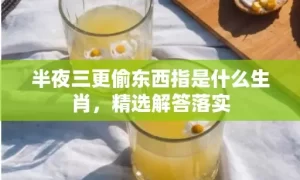 半夜三更偷东西指是什么生肖，精选解答落实