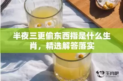 半夜三更偷东西指是什么生肖,精选解答落实 半夜三更偷东西指是什么生肖,精选解答落实