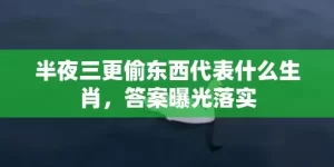 半夜三更偷东西代表什么生肖，答案曝光落实