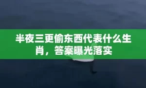 半夜三更偷东西代表什么生肖，答案曝光落实