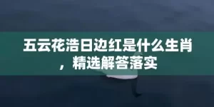 五云花浩日边红是什么生肖，精选解答落实